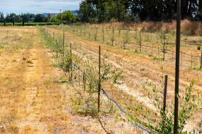 20780 8th Street, Sonoma, CA 95476 - Photo 30