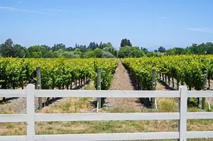 5505 Bravo Toro Ln, Santa Rosa, CA 95401 - Photo 2