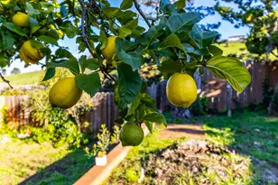 112 Palomar Ln, Vallejo, CA 94591 - Photo 58