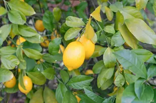 19440 Riverside Dr, Sonoma, CA 95476 - Photo 40