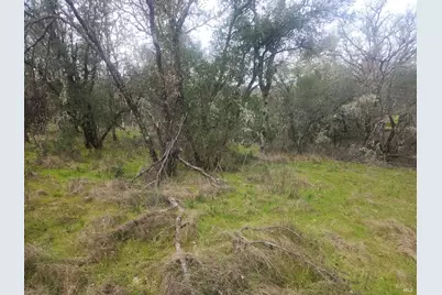 2800 Road B, Redwood Valley, CA 95470 - Photo 4