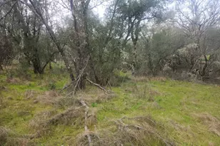 2800 Rd B, Redwood Valley, CA 95470 - Photo 4