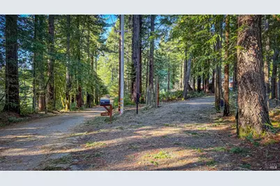 17470 Willow Creek Road, Occidental, CA 95465 - Photo 8