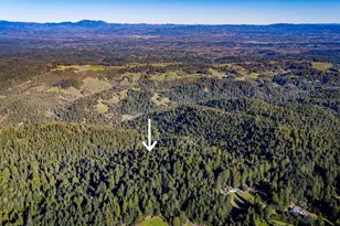 17470 Willow Creek Rd, Occidental, CA 95465 - Photo 1