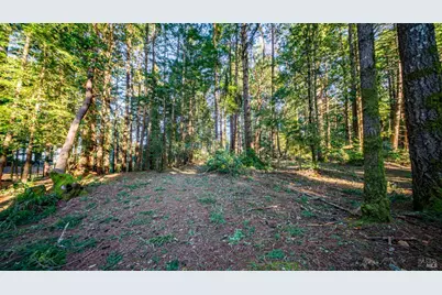 17470 Willow Creek Road, Occidental, CA 95465 - Photo 24