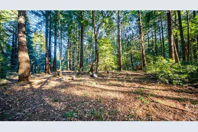 17470 Willow Creek Road, Occidental, CA 95465 - Photo 22