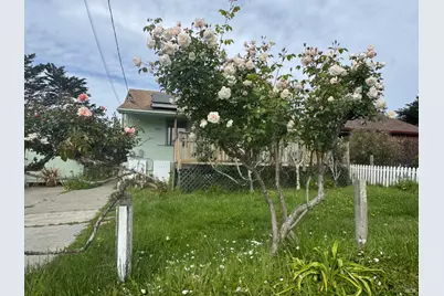 39 Carrie Street, Tomales, CA 94971 - Photo 70