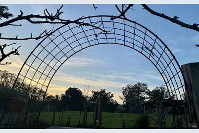 39 Carrie Street, Tomales, CA 94971 - Photo 56