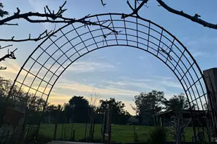 39 Carrie St, Tomales, CA 94971 - Photo 56