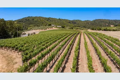 3211 Dry Creek Road, Napa, CA 94558 - Photo 12