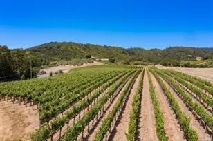 3211 Dry Creek Rd, Napa, CA 94558 - Photo 12