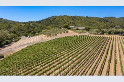 3211 Dry Creek Road, Napa, CA 94558 - Photo 10