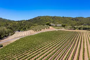 3211 Dry Creek Rd, Napa, CA 94558 - Photo 10