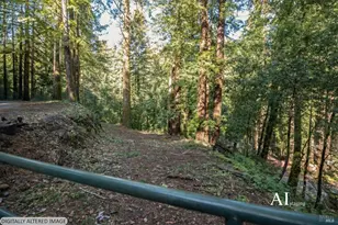 3665 Cazadero Hwy, Cazadero, CA 95421 - Photo 34