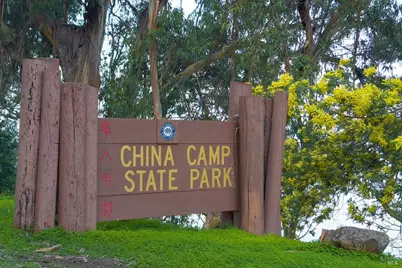 94 Biscayne Drive, San Rafael, CA 94901 - Photo 48