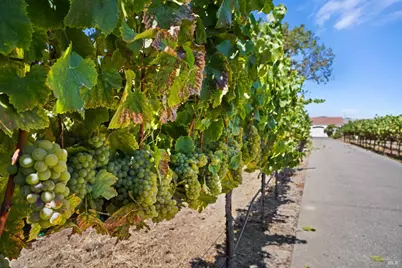 5267 Old Sonoma Road, Napa, CA 94559 - Photo 16