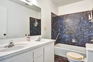 38 Dutch Valley Ln, San Anselmo, CA 94960 - Photo 46