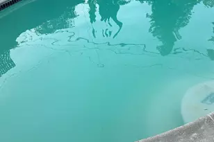 204 S Dora St, Ukiah, CA 95482 - Photo 28