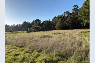 41 Sea Pine, The Sea Ranch, CA 95497 - Photo 4