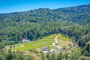 4447 N St Helena Hwy, Calistoga, CA 94515 - Photo 40