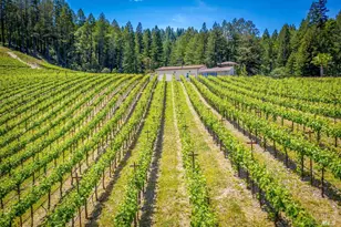 4447 N St Helena Hwy, Calistoga, CA 94515 - Photo 42