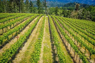 4447 N St. Helena Highway, Calistoga, CA 94515 - Photo 48