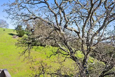 22 Columbine Lane, Novato, CA 94947 - Photo 40
