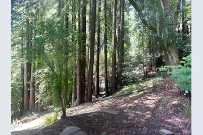 18349 Neeley Road, Guerneville, CA 95446 - Photo 6