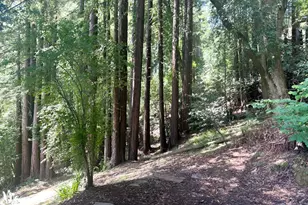 18349 Neeley Rd, Guerneville, CA 95446 - Photo 6