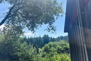 18349 Neeley Rd, Guerneville, CA 95446 - Photo 8