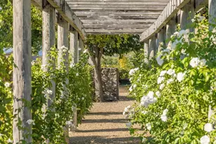 1032 Ponti Rd, Rutherford, CA 94558 - Photo 32