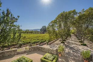 1032 Ponti Rd, Rutherford, CA 94558 - Photo 20