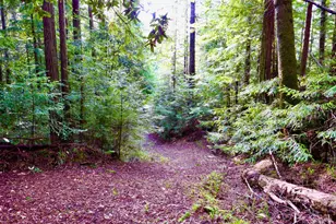 40401 Little River-Airport Rd, Littleriver, CA 95456 - Photo 44