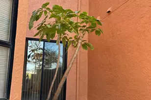 104 Nantucket Ln, Vallejo, CA 94590 - Photo 32