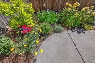 659 Las Colindas Rd, San Rafael, CA 94903 - Photo 36