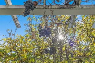 130 11th St, Santa Rosa, CA 95401 - Photo 24