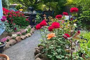 4604 Parktrail Ct, Santa Rosa, CA 95405 - Photo 64