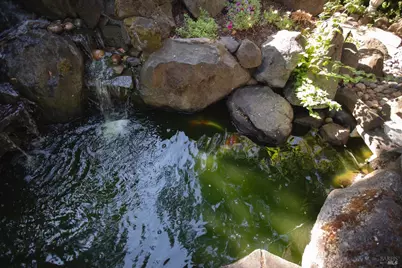 4604 Parktrail Court, Santa Rosa, CA 95405 - Photo 58