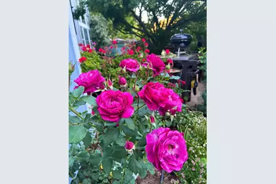 4604 Parktrail Court, Santa Rosa, CA 95405 - Photo 70