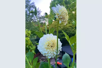 4604 Parktrail Court, Santa Rosa, CA 95405 - Photo 74