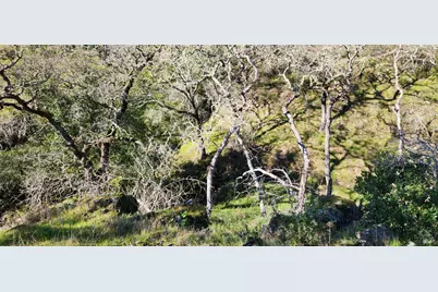 2101 Leslie Road, Healdsburg, CA 95448 - Photo 12