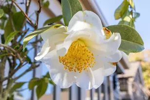 75 Kensington Rd, San Anselmo, CA 94960 - Photo 66