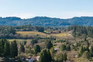 324 Burgundy Rd, Healdsburg, CA 95448 - Photo 52