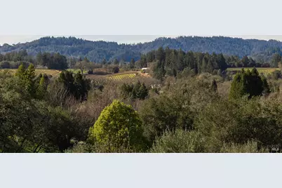 324 Burgundy Road, Healdsburg, CA 95448 - Photo 4