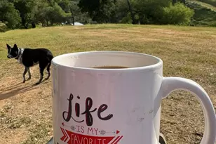 3672 Cantelow Rd, Vacaville, CA 95688 - Photo 56