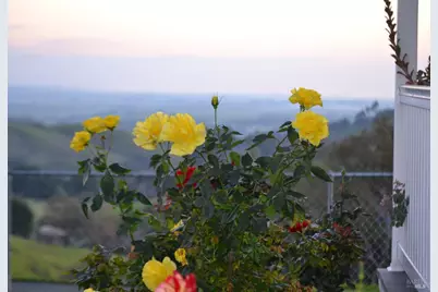 3672 Cantelow Road, Vacaville, CA 95688 - Photo 48