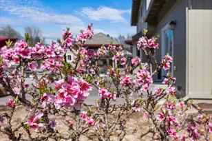 2573 Greenvale Ln, Santa Rosa, CA 95401 - Photo 54