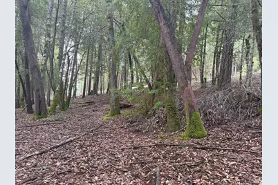 27369 Bear Drive, Willits, CA 95490 - Photo 6