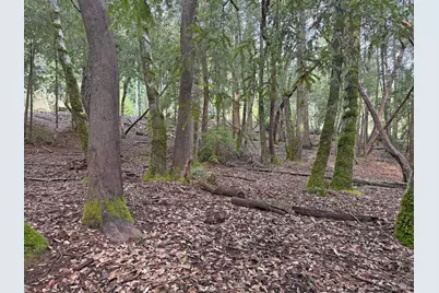 27369 Bear Drive, Willits, CA 95490 - Photo 4