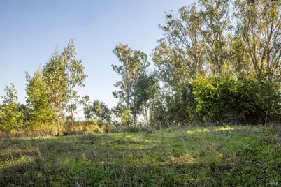 2800 Paradise Drive, Tiburon, CA 94920 - Photo 2